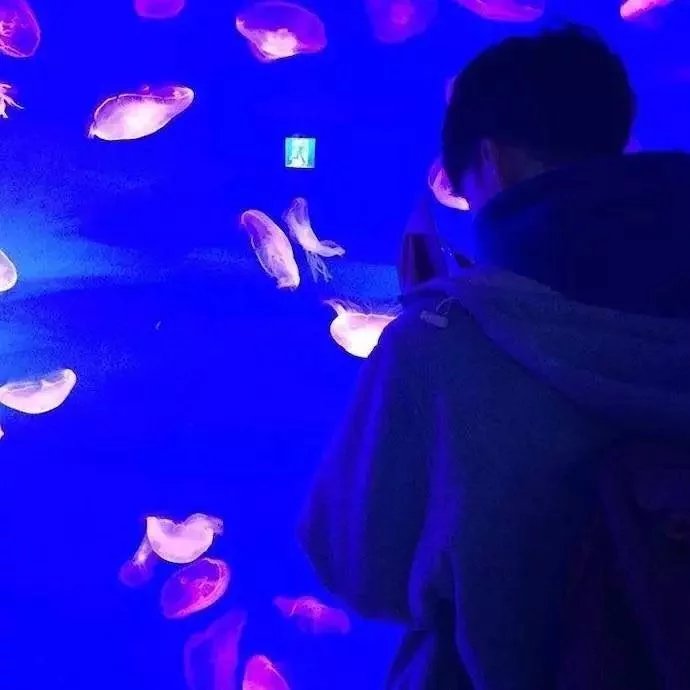 好看的不易撞雙人情侶頭像圖片精選-一人一張_18