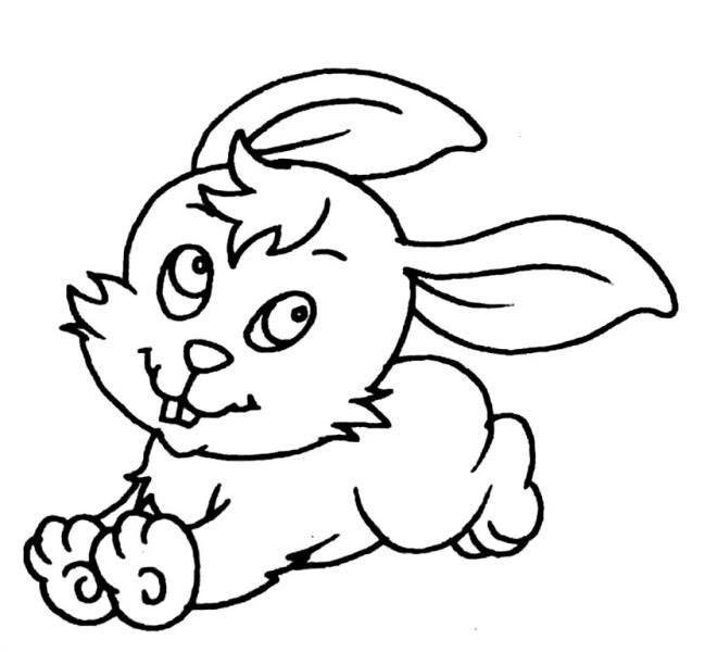 可爱小兔子黑白色简笔画图片大全_4