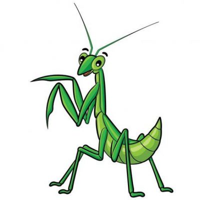 绿色昆虫螳螂简笔画图片大全