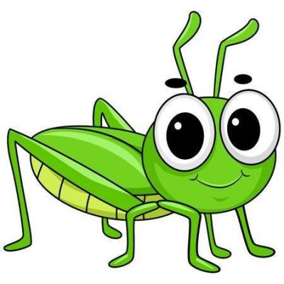 昆虫绿色蚱蜢卡通简笔画图片大全