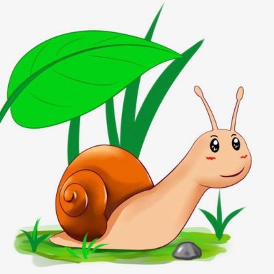 昆虫蜗牛彩色简笔画图片大全