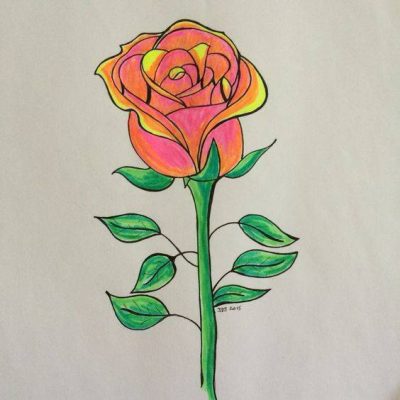 简笔画玫瑰带色图片