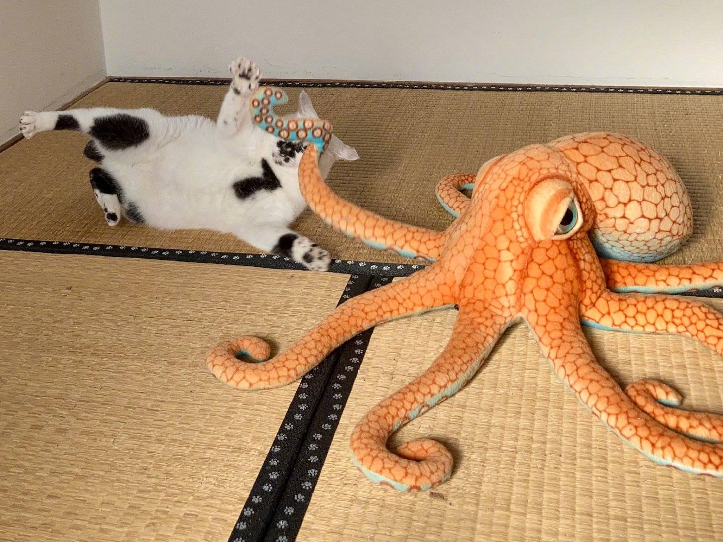 白猫和章鱼大玩偶打架！大章鱼太吓人了！_7