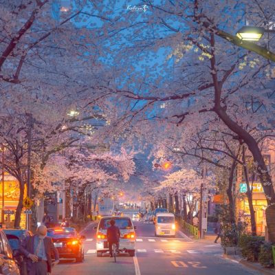 傍晚太阳落山下的日本暮色街头唯美舒心图