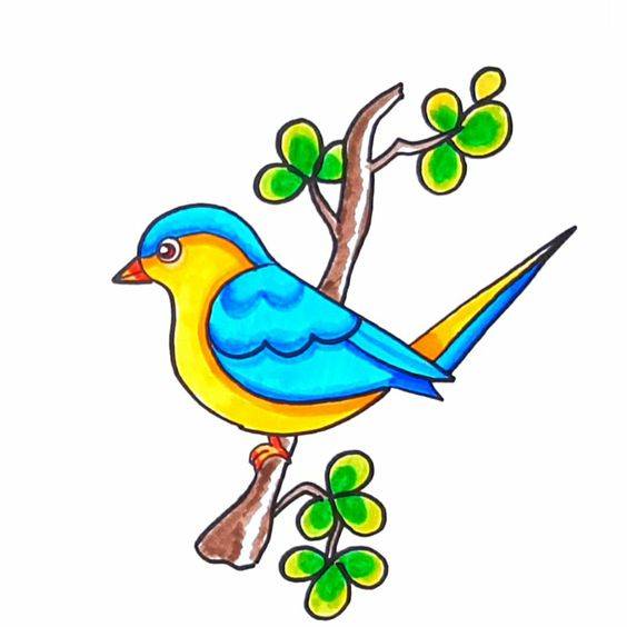 树枝上的彩色小鸟简笔画作品图片大全_3