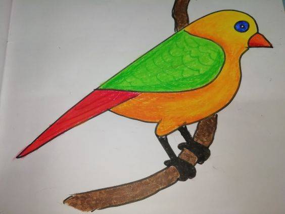 树枝上的彩色小鸟简笔画作品图片大全_4