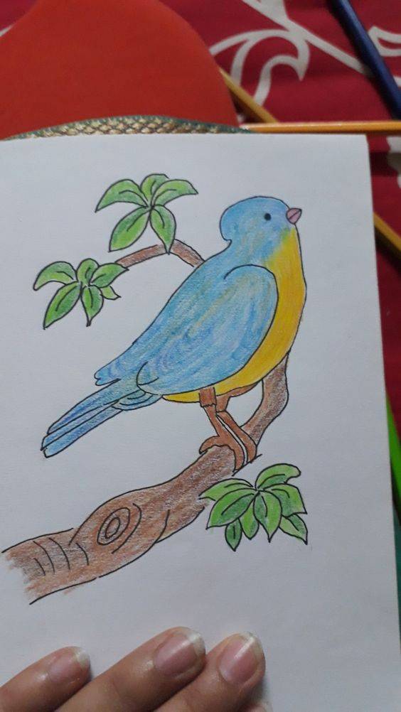 树枝上的彩色小鸟简笔画作品图片大全_5