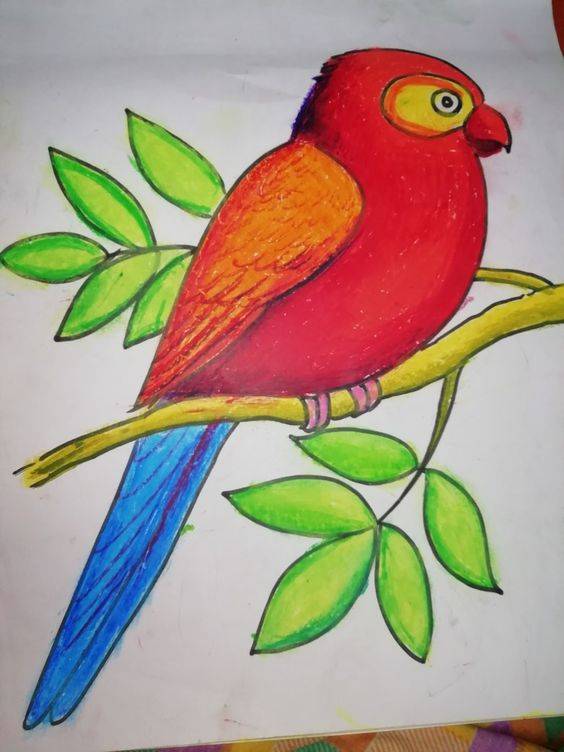 树枝上的彩色小鸟简笔画作品图片大全_2