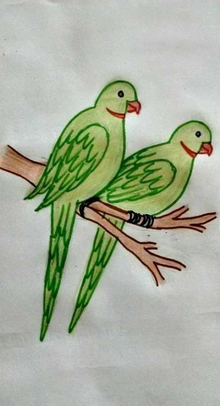 树枝上的彩色小鸟简笔画作品图片大全_1