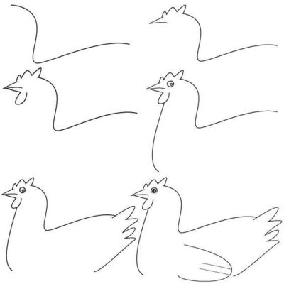 画一只小母鸡只需要6步！动物小鸡黑白简笔画画法步骤图