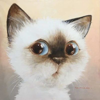 超可爱小动物猫咪插画版可爱微信头像图片 作者Moozoriki ​​​