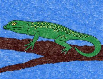 绿色蜥蜴简笔画图片精选 可爱小蜥蜴这样画！_2