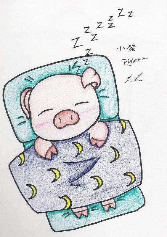 躺着睡觉的卡通小猪彩色简笔画图片精选_2