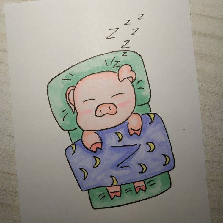 躺着睡觉的卡通小猪彩色简笔画图片精选_1