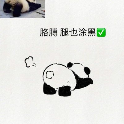 可爱动物大熊猫趴地撅屁股简笔画画法教程图片