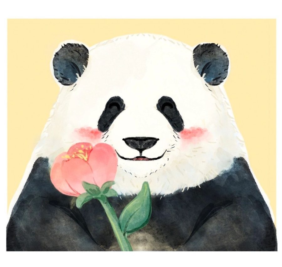 大熊猫和花、福宝、飞云卡通版手绘微信头像_1