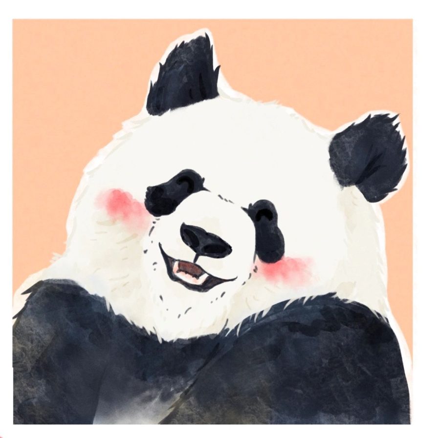 大熊猫和花、福宝、飞云卡通版手绘微信头像_2