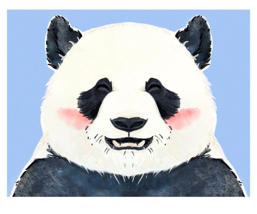 大熊猫和花、福宝、飞云卡通版手绘微信头像_4