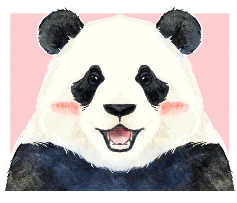 大熊猫和花、福宝、飞云卡通版手绘微信头像_7