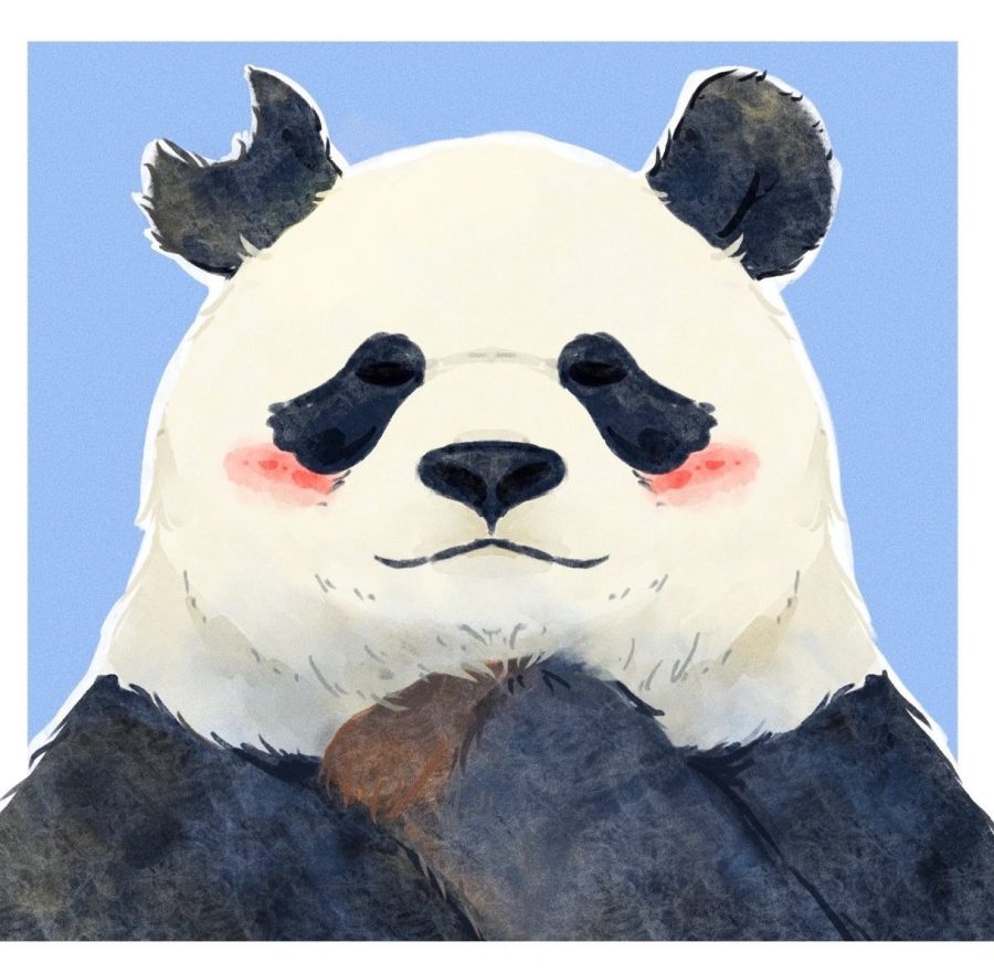 大熊猫和花、福宝、飞云卡通版手绘微信头像_9