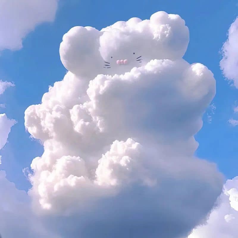 可爱小众云彩熊云彩鸭头像 适合做头像的云朵图片_4
