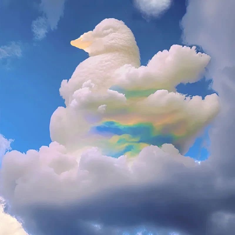 可爱小众云彩熊云彩鸭头像 适合做头像的云朵图片_8