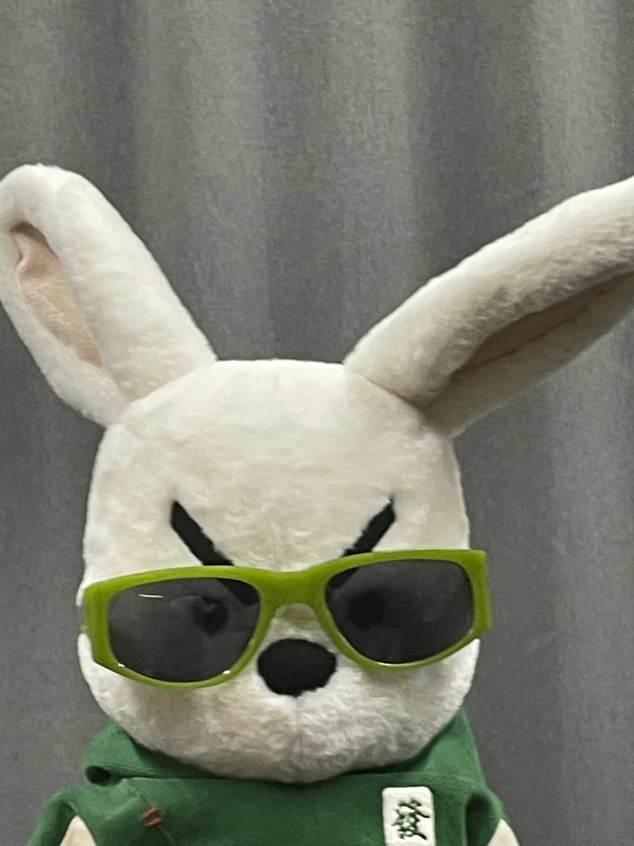 白色绿帽奋斗兔戴眼镜超酷男生头像_9