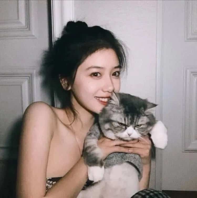 真人女生抱猫真实照片微信头像 女生抱宠物露脸头像_13