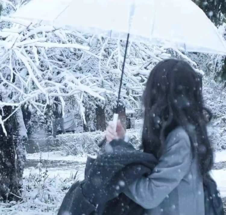 雪地里撑伞的女孩微信头像 适合寒冷冬天的雪景孤独感真人女头_14