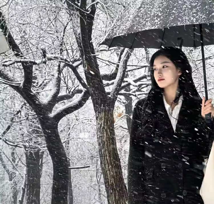 雪地里撑伞的女孩微信头像 适合寒冷冬天的雪景孤独感真人女头_18