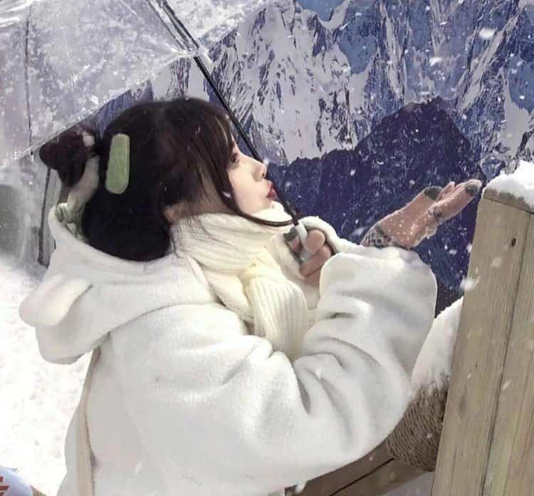 雪地里撑伞的女孩微信头像 适合寒冷冬天的雪景孤独感真人女头_23