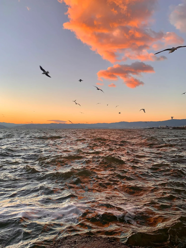 大理洱海的日出特别好看惊艳的照片_1