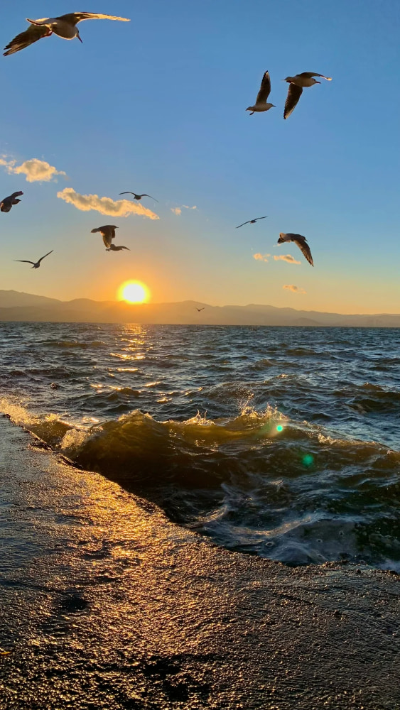 大理洱海的日出特别好看惊艳的照片_3