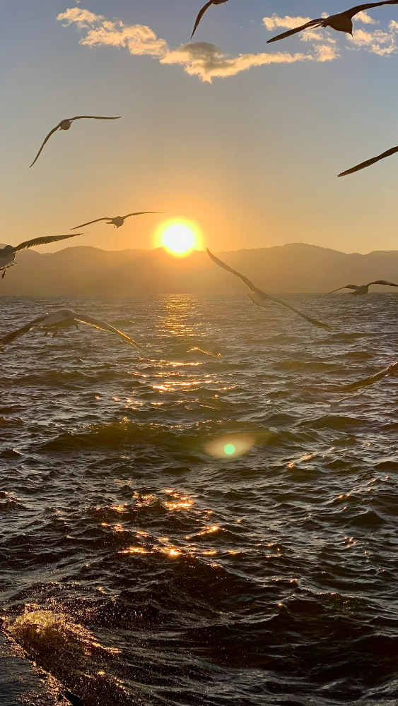 大理洱海的日出特别好看惊艳的照片_4