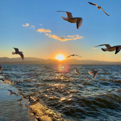 大理洱海的日出特别好看惊艳的照片