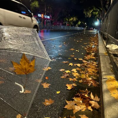 下雨天路边街道枫叶雨伞氛围感唯美图片